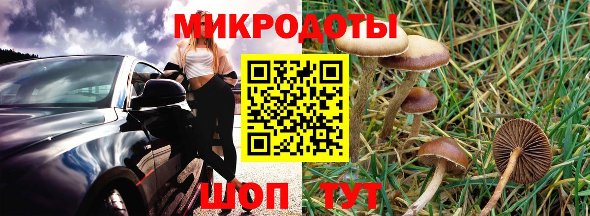 Галлюциногенные грибы Magic Shrooms Алапаевск